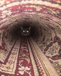 Детские коврики из советских квартир