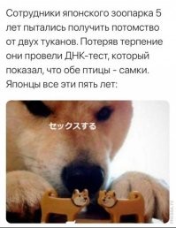 Сразу вспомнилось...))
Молодая европейская пара очень хотела завести ребенка. Ну как положено, отказались от презервативов, соблюдают все рекомендации, диета специальная. Год нету, два нету... По всем светилам европейским походили, те только руками разводят, мол, никак... Услышали, что в Сибири, в тайге живет знахарь, который лечит от всего. Поехали, рассказали ему о своих проблемах, что и так, и этак - детей нет.
Знахарь выслушал внимательно, а после говорит:
"МУЖИКИ, ВЫ СОВСЕМ Е.Б.А.НУЛИСЬ???"