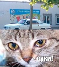 Не ищите здесь смысл. Здесь в основном маразм