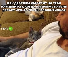 Прикольные и веселые картинки