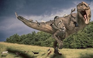 согласен на такую теорию, но: