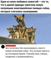 я даже знаю, что они поют))