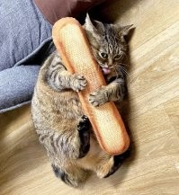 Моя прелесть!