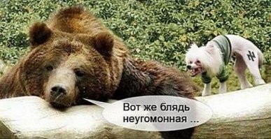 @Модератор Fishki.net
Да, как скажешь.
Разжигание межнациональной розни.