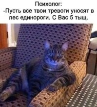 Смешные и познавательные картинки