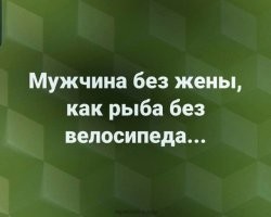 Прикольные и веселые картинки