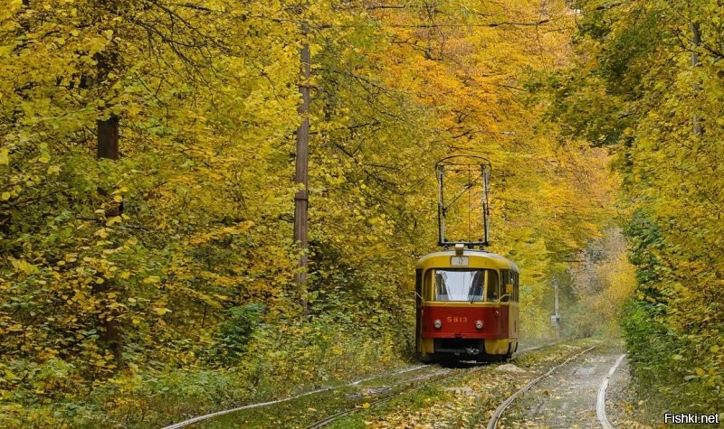 В Киеве 12 трамвай через лес ходит