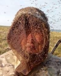 Якутия, посёлок Усть-Нера: летний вид на полюс холода