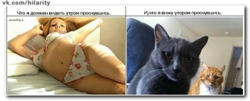 Скрины из соцсетей