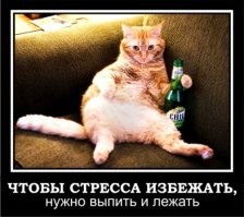 Скрины из соцсетей
