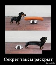 Скрины из соцсетей
