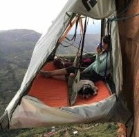 ладно сами...а собака в чем виновата?