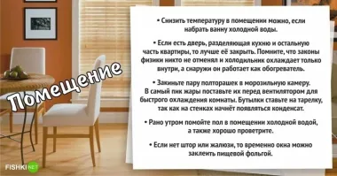 Отличные советы доя той части аудитории, которые тут всем затирают как они счастливы в европах, пока мы тут загниваем при кровавом режЫме. Не потейте там, болезные. Осенью подгоним лайфхаков как не отморозить яйца без отопления.