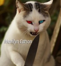 Фотоподборка