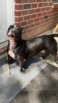 Красавчег!!!