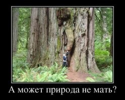 19 случаев, когда прогулка по лесу заканчивалась интересной находкой