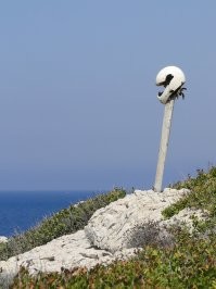 А бывает и так заканчивается...