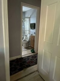 Был бы у меня такой кот...