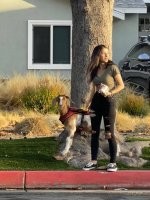 Любовь зла.