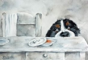 Йожика картинки. Выпуск 175