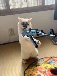 ДИЗИРТИРЫМ АВТОМАТЫМ ПУФ, ПУФ!