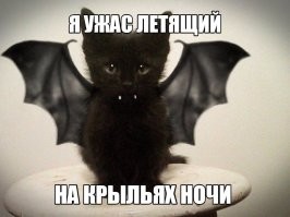 Не ищите здесь смысл. Здесь в основном маразм