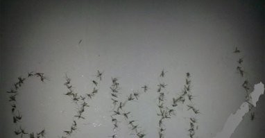 Не ищите здесь смысл. Здесь в основном маразм