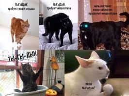 Йожика картинки. Выпуск 175