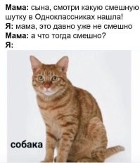 Вот что действительно смешно