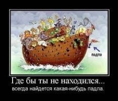 Пони мэра британской деревушки прессуют местне власти