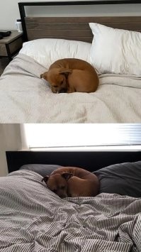 "Это судьба"
Больше похоже на реинкарнацию)