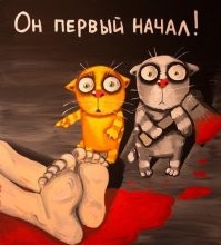 Хозяйка не захотела делиться с котом лакомством