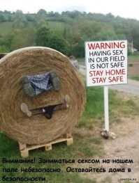 в наших широтах скорее так: