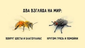 Фото свадеб времен СССР, наполненных душевной советской атмосферой