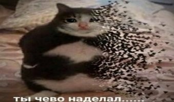 Мужики: