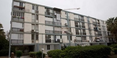 1 Живая
2 Мертвая
3 А вот так на юге