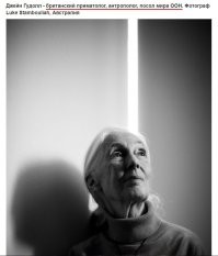 Что то вспомнился старый анекдот, "Все в го(в)не, а я весь в белом".