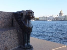 Грифоны, дарующие богатство
Если говорить о животных – символах Санкт-Петербурга, то в первую очередь вспоминаются львы, в том числе, крылатые, которых по петербургской традиции именуют грифонами. С ними тоже связаны легенды об исполнении желаний.

Например, крылатые львы на Банковском мосту помогают в решении финансовых проблем, что не удивительно, так как по древним легендам грифоны стерегут золото.

Величественные фигуры этих красивых существ установлены на мосту через Екатерининский канал (ныне канал Грибоедова) в 1826 году. Отлил их из чугуна скульптор Павел Петрович Соколов. Уже тогда грифонам придавали символическое значение хранителей сокровищ, так как рядом располагался Ассигнационный банк.

Чтобы получить помощь от крылатого льва, нужно совершить специальный ритуал: погладить зверя по золоченому крылу и положить монетку рядом с передней лапой. Если это не принесет богатства, то собиратели городских легенд советуют использовать экстравагантный, но более надежный способ. Надо поцеловать стажа золота чуть выше основания хвоста и потереть то бедро льва, которое расположено ближе к Казанскому собору. А потом обязательно заплатить, положив монетку.

Говорят, грифоны с Банковского моста способны исполнить и другие, не связанные с богатством желания. Но для этого необходимо забраться на постамент и, засунув руку в львиную пасть, попросить о помощи.

Способностью исполнять желания наделены и другие грифоны, расположенные на Университетской набережной рядом со знаменитыми сфинксами, привезенными из развалин древних Фив в 1832 году. Этим удивительным скульптурам 3,5 тысячи лет.

Грифоны, оформляющие каменные скамьи в парапете набережной, значительно моложе. Они установлены здесь в 1834 году, а в конце XIX века исчезли. В 1959 году скульптуры восстановили по старым литографиям.

Четыре бронзовых крылатых льва, охраняющих скамьи, изображены не полностью – из камня выступает только передняя часть туловища и крылья. Но, несмотря на некоторую «неполноценность» грифоны вполне доброжелательны и охотно исполняют желания тех, кто рискнет положить им в пасть руку, а потом погладить по голове. А чтобы желание исполнилось наверняка, лучше в это время внимательно смотреть на сфинкса. И судя по отполированным до блеска мордам грифонов, находится немало желающих получить их помощь.