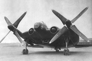 V-173 послужил прототипом для истребителя XF5U-1.  Истребители уничтожили, а V-173 хранится в музее при Смитсониановском институте.