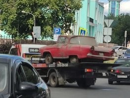 Автовсячина