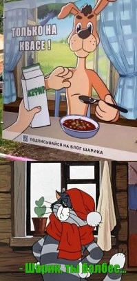 Извечный бой котов и собак...