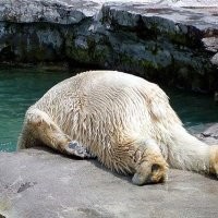 «Тады (тогда)   ой!»