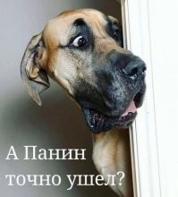 Парня, сожительствующего с латексной куклой, бросили друзья