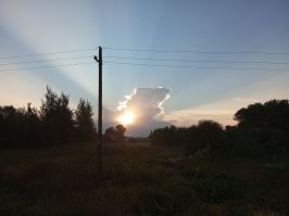 Утро в подмосковья , телефон)))