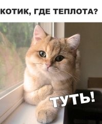 Йожика картинки. Выпуск 180