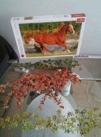 Берегите нервы! :)))))))