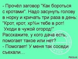 В стиле Фишек: промежуточные итоги дачного сезона 2022 года