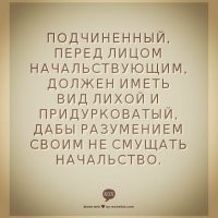 Скрины из соцсетей