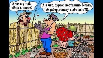 В стиле Фишек: промежуточные итоги дачного сезона 2022 года