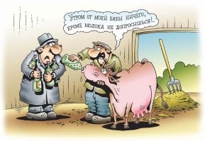 В стиле Фишек: промежуточные итоги дачного сезона 2022 года